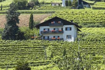 hanspeterhof-tramin