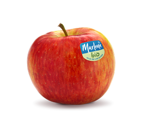 topaz-rgb-bio-label-es