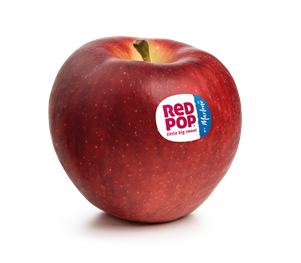 redpop-mit-label-08-21