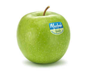 granny-smith-rgb-bio-label-en