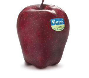 red-delicius-red-chief-rgb-bio-label-es