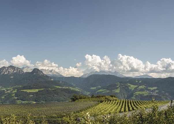 apfelwiese-aussicht