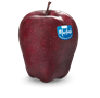 red-delicius-red-chief-rgb-en