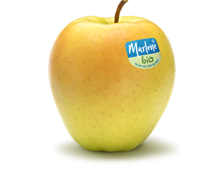 golden-rgb-bio-label-es