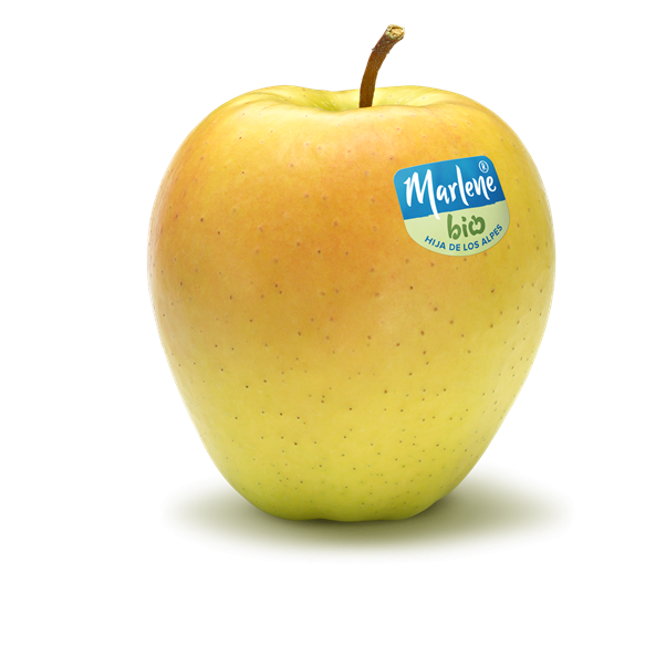 golden-rgb-bio-label-es