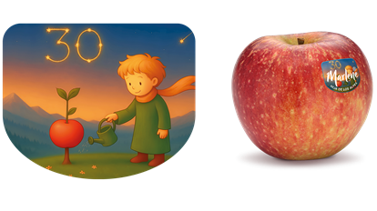 staymanwinesap-kunstwerk-es