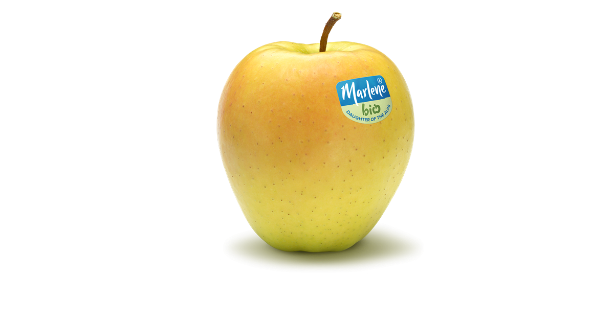 Apfelsorte Golden Delicious Marlene®