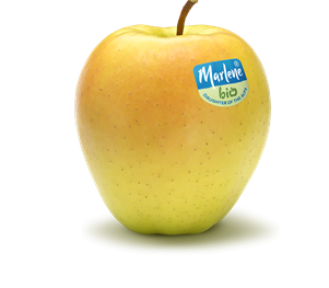 golden-rgb-bio-label-en