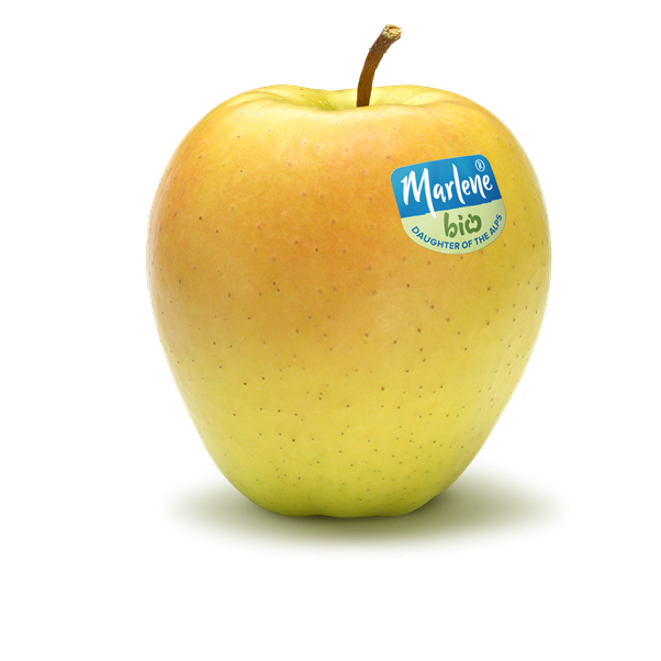golden-rgb-bio-label-en