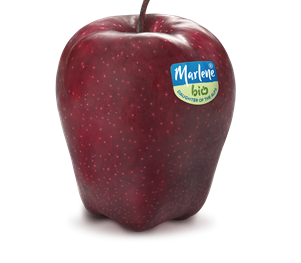 red-delicius-red-chief-rgb-bio-label-en