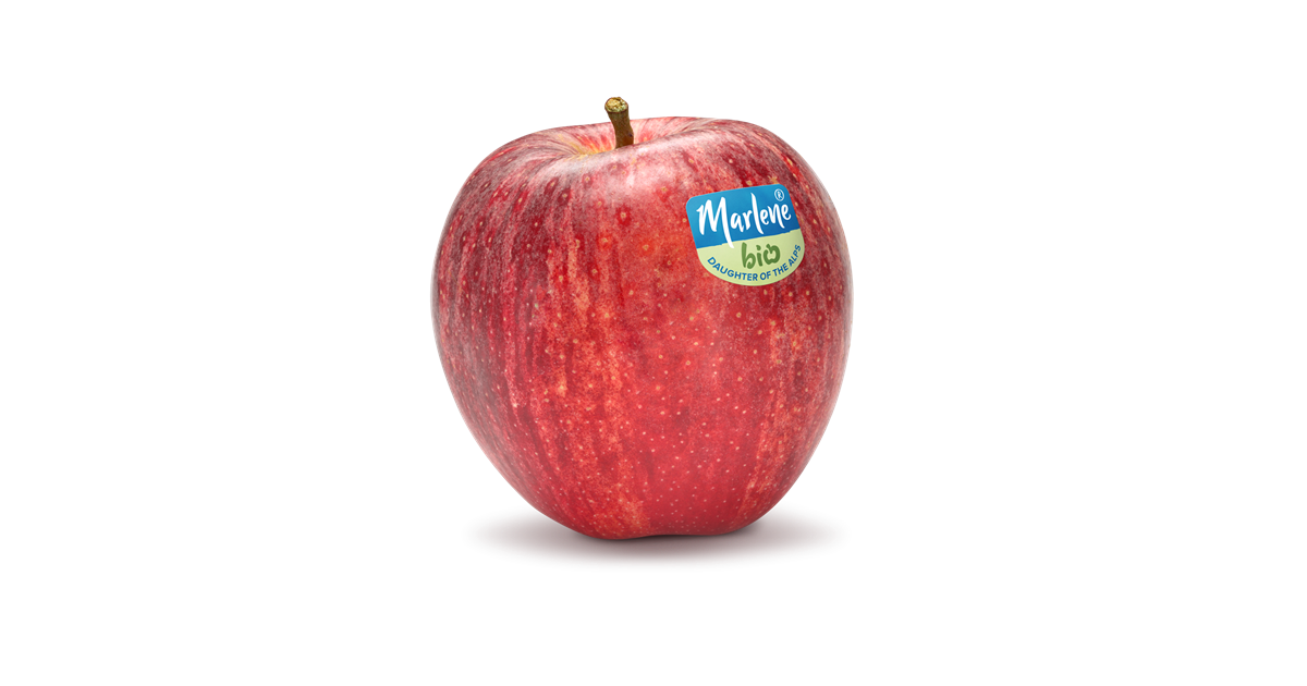Apple variety Royal Gala Marlene®