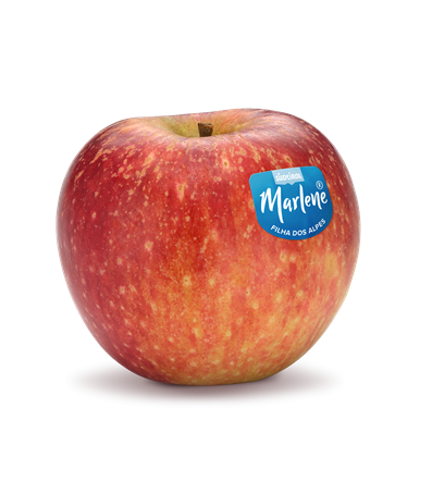 261008-stayman-winesap-por