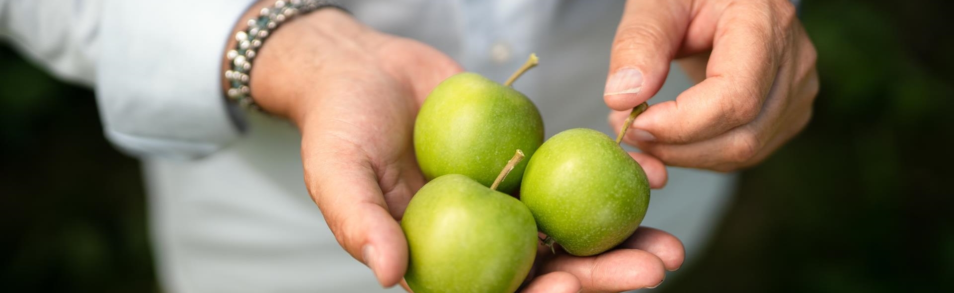 marlene-it-apple-hands