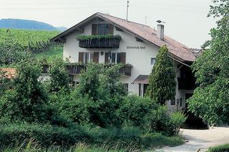 heinrich-hof-eppan