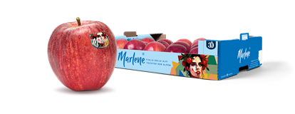 marlene-baby-kunstw-30-it