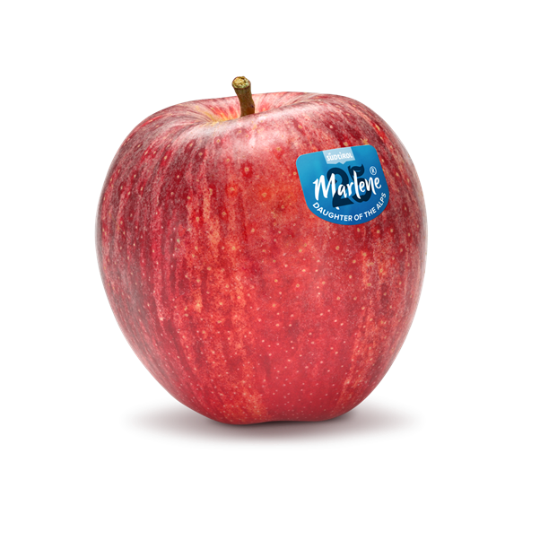 Apple variety Royal Gala Marlene®