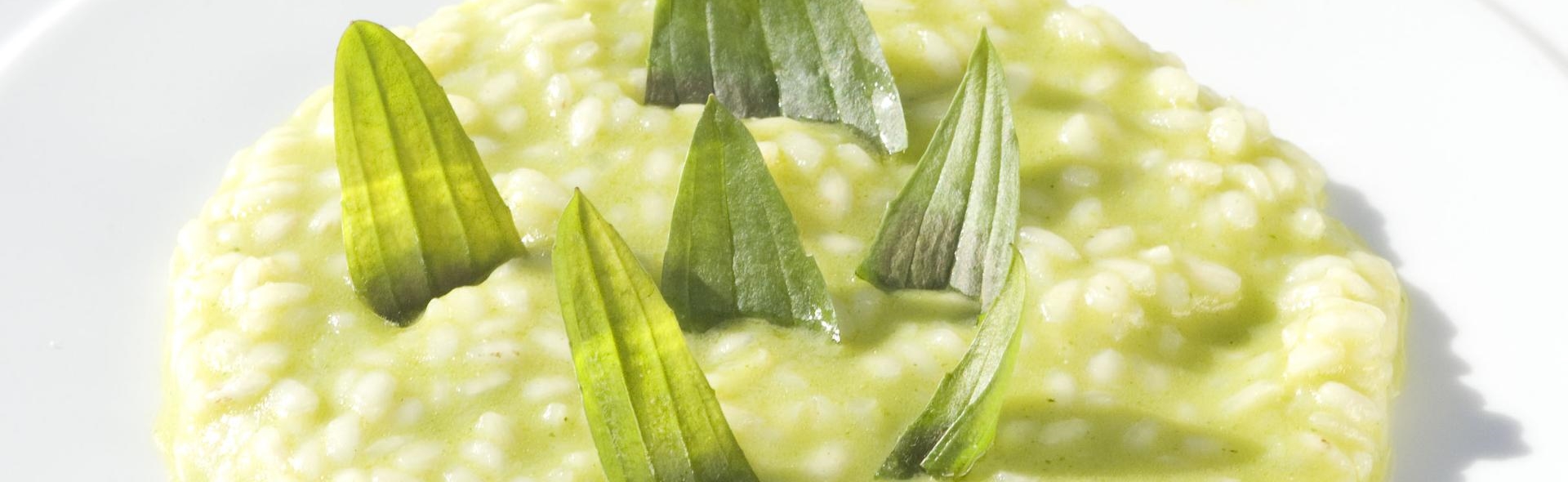 apfelrisotto