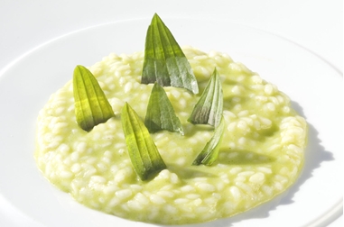 apfelrisotto