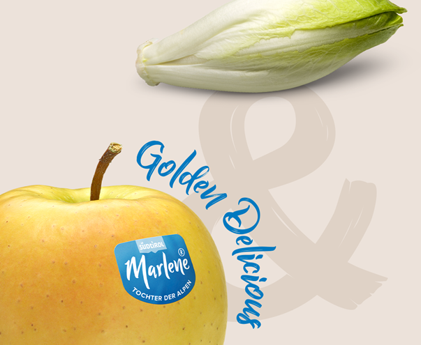 foodpairing-golden-delicious-und-chicoree